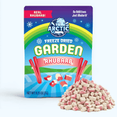 Freeze Dried Red Rhubarb - Vegan America