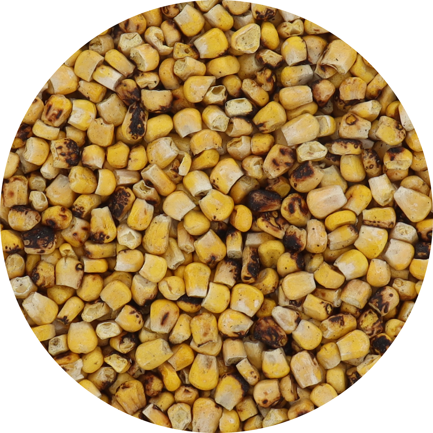 Freeze Dried Corn - Fire Roasted