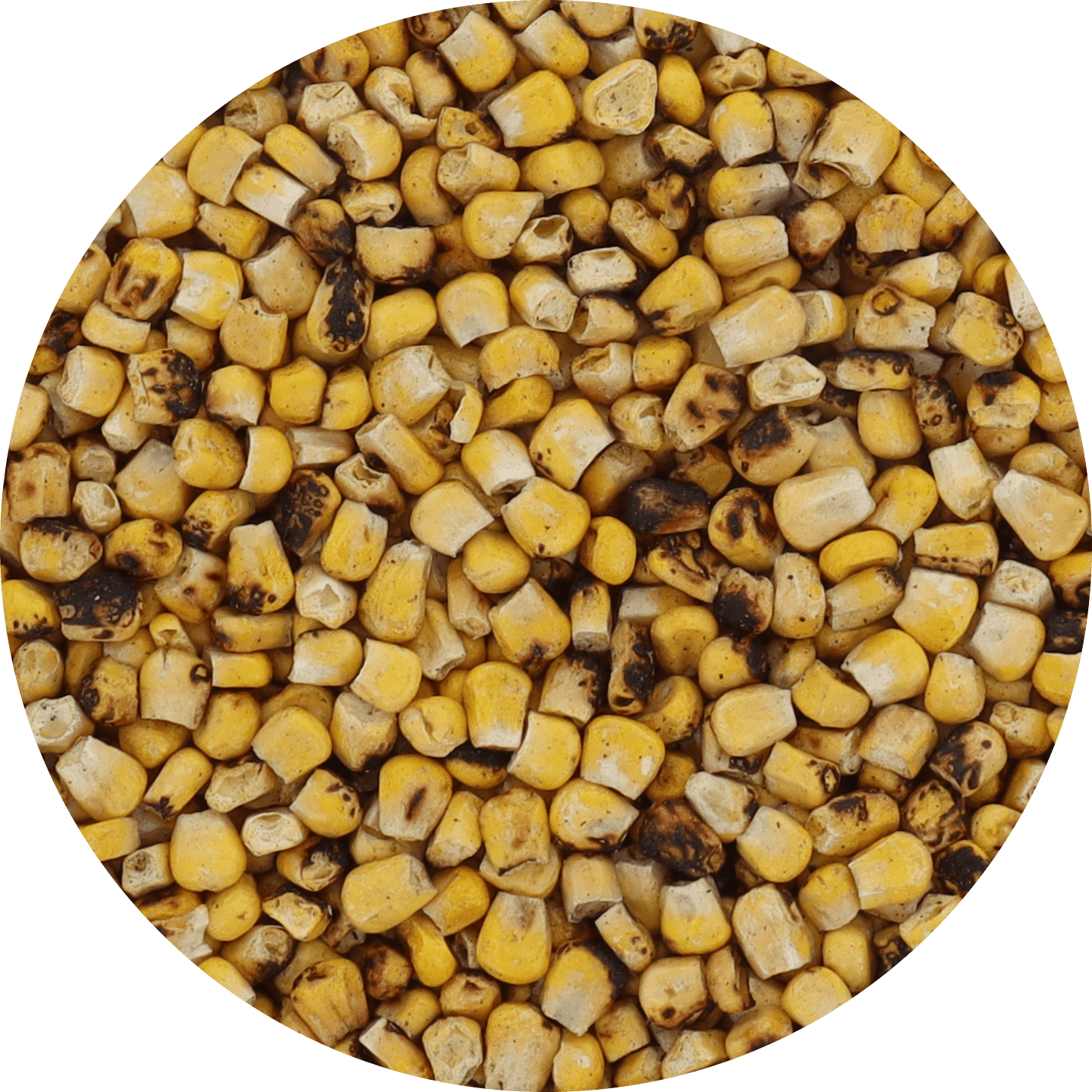 Freeze Dried Corn - Fire Roasted - Vegan America