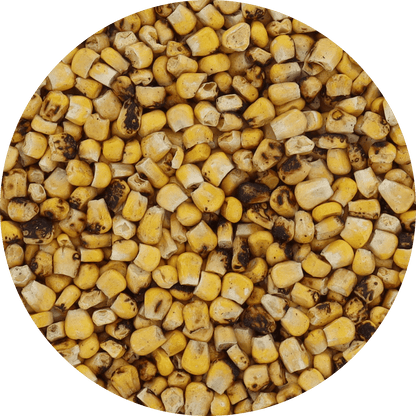 Freeze Dried Corn - Fire Roasted - Vegan America