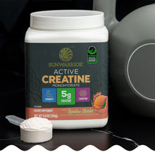 Active Creatine Rainbow Sherbet