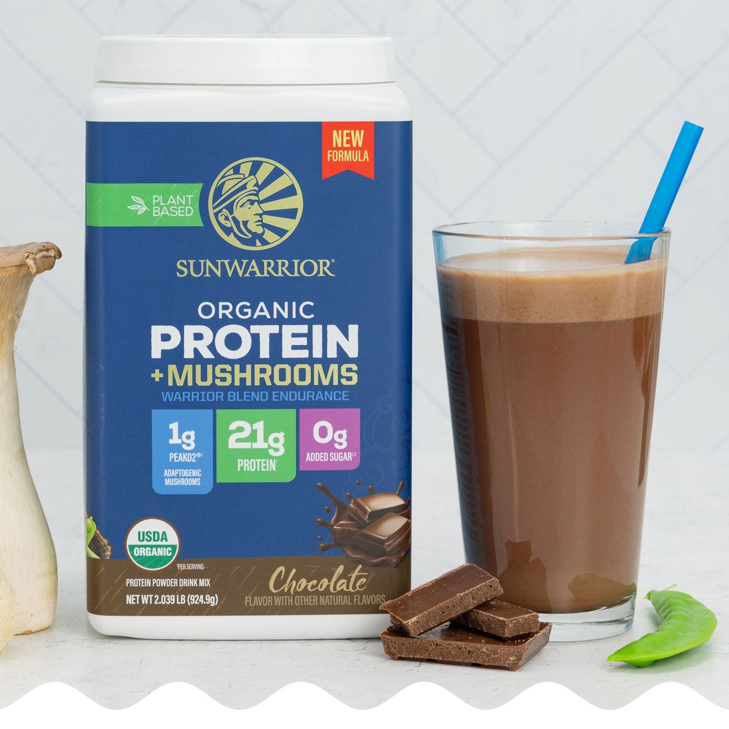 Organic Protein for Endurance with Adaptogenic Mushrooms - Warrior Blend Chocolate
