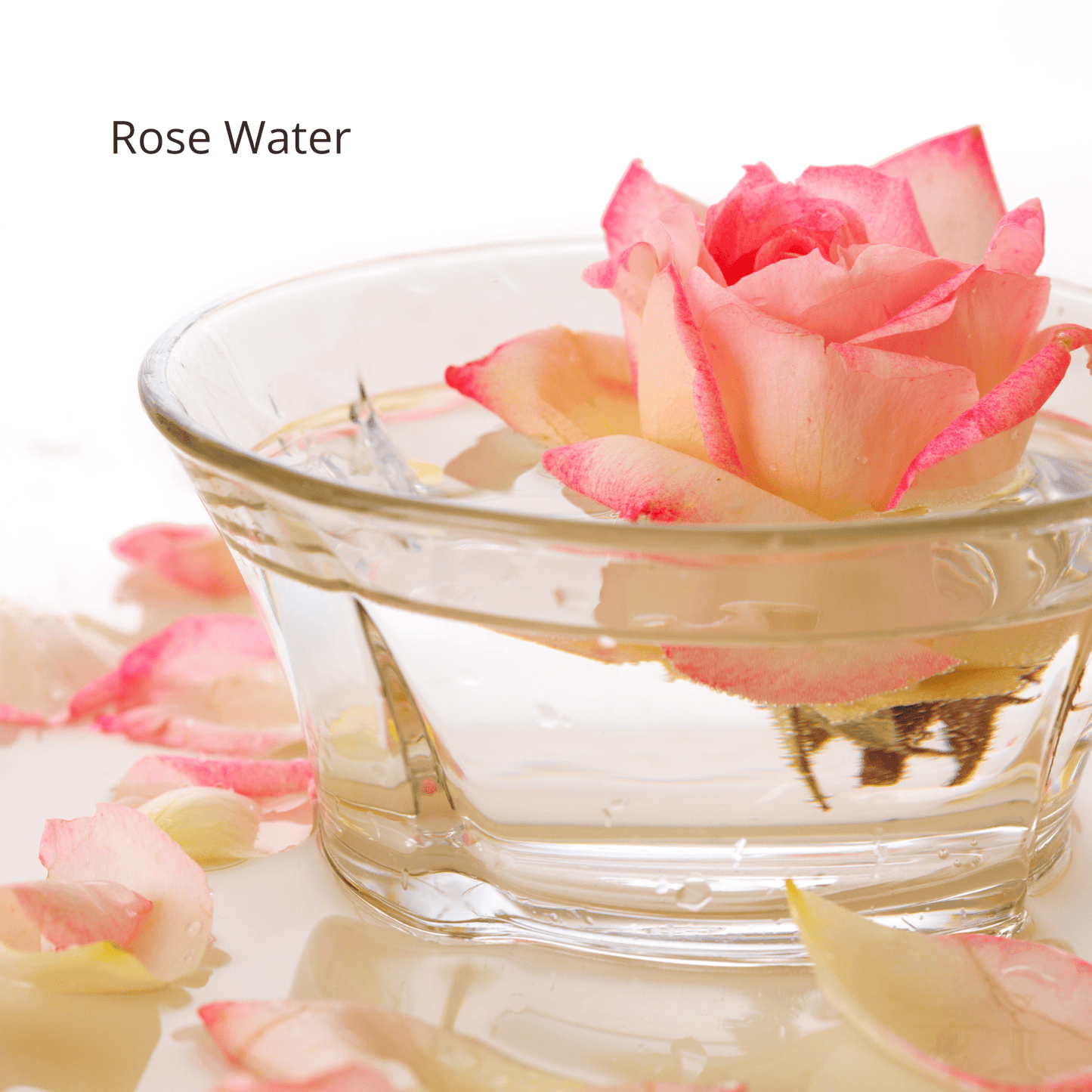 Pomegranate + White Tea Toner