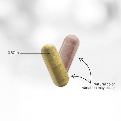 SBO Probiotic + 50 Billion CFUs