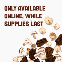 *Limited Edition* Sichuan Málà Mushroom Jerky - Vegan America