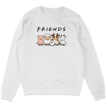 Friends Sweatshirt