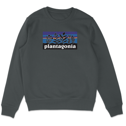 Plantagonia Sweatshirt