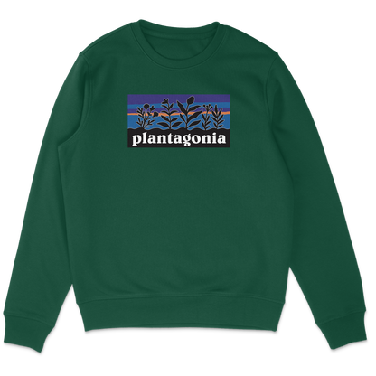 Plantagonia Sweatshirt