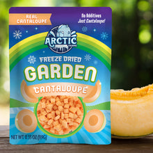 Freeze Dried Cantaloupe Melon