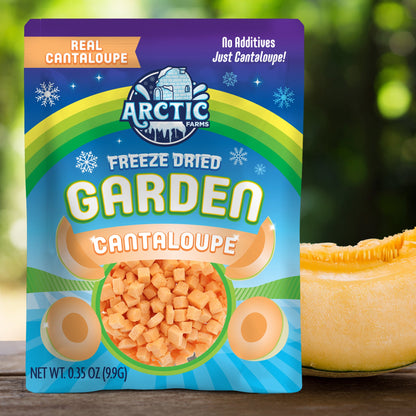 Freeze Dried Cantaloupe Melon