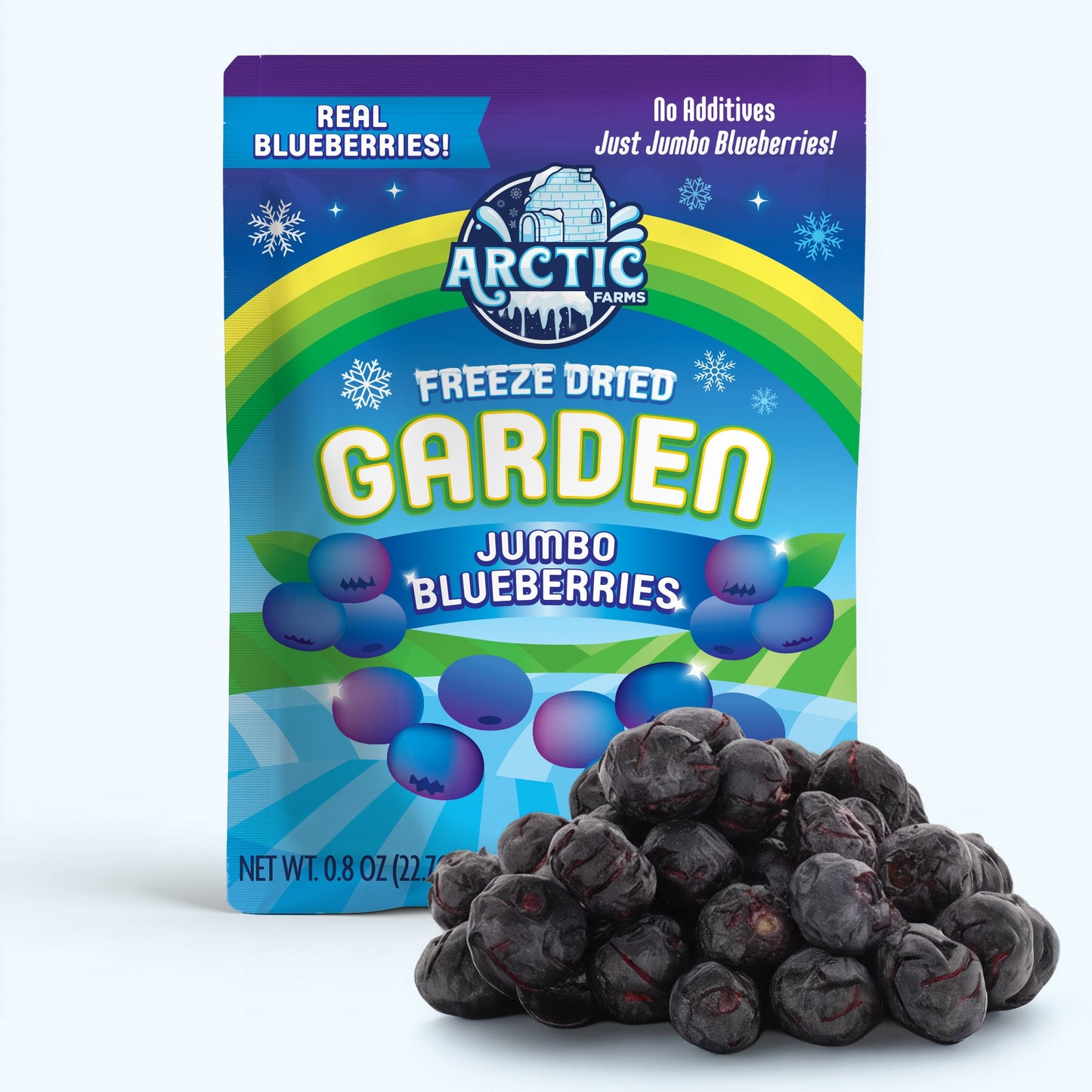 Freeze Dried Blueberries - Vegan America