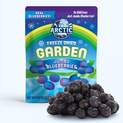 Freeze Dried Blueberries - Vegan America