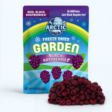 Freeze Dried Black Raspberry