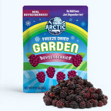 Freeze Dried Boysenberry