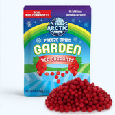 Freeze Dried Red Currant - Vegan America