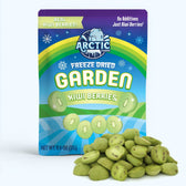 Freeze Dried Kiwi Berry (Baby Kiwi) - Vegan America