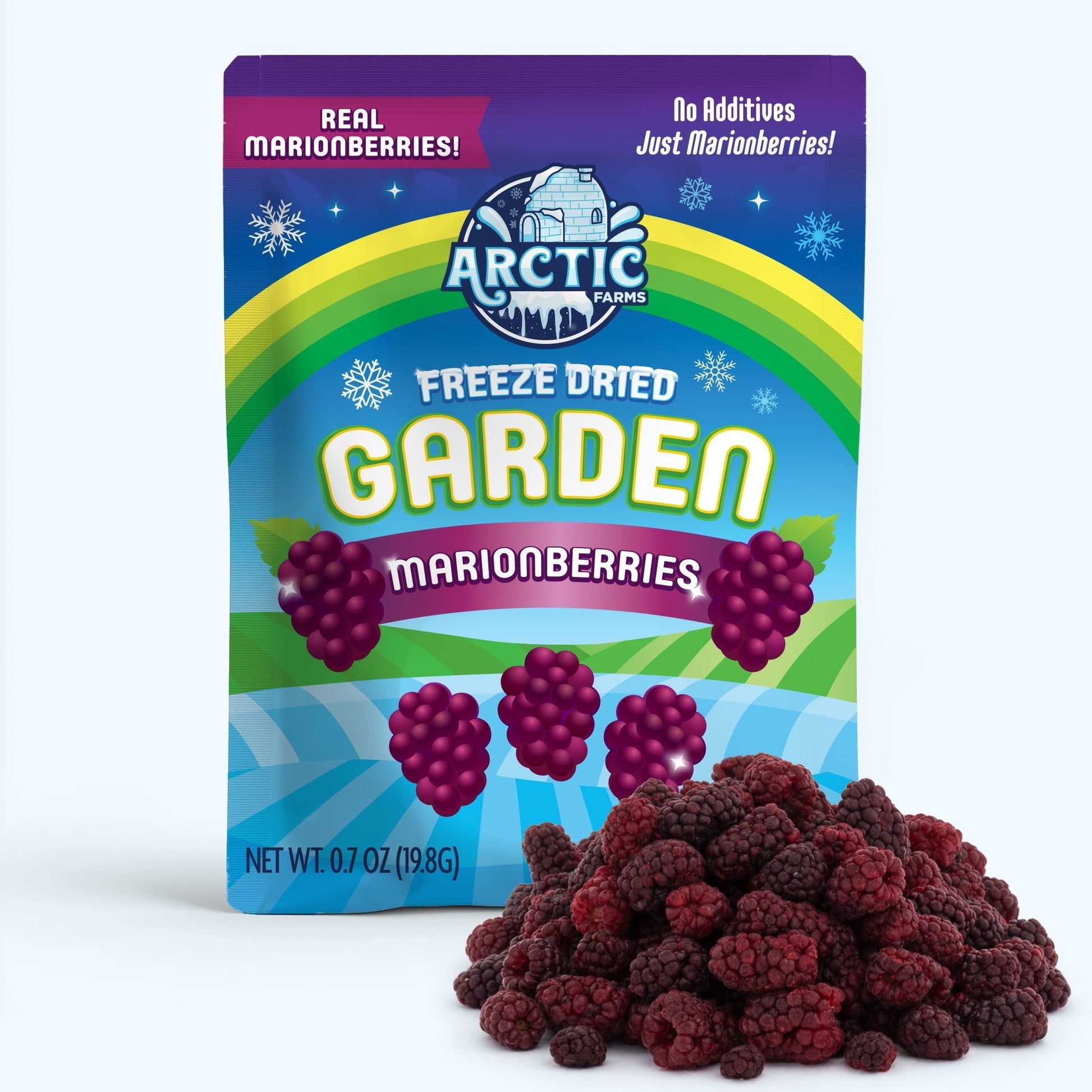 Freeze Dried Marionberries - Vegan America