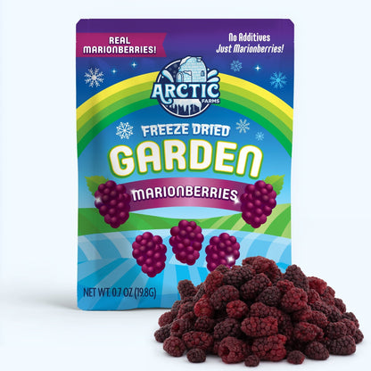 Freeze Dried Marionberries - Vegan America