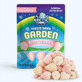 Freeze Dried Pineberry - Vegan America