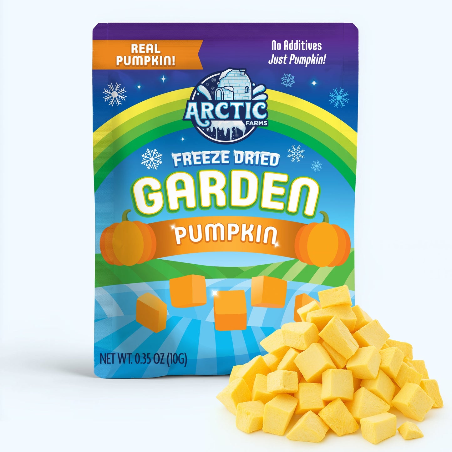 Freeze Dried Pumpkin