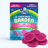 Freeze Dried Red Dragon Fruit Slices - Vegan America