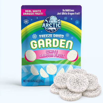 Freeze Dried White Dragon Fruit Slices