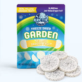 Freeze Dried Yellow Dragon Fruit Slices - Vegan America