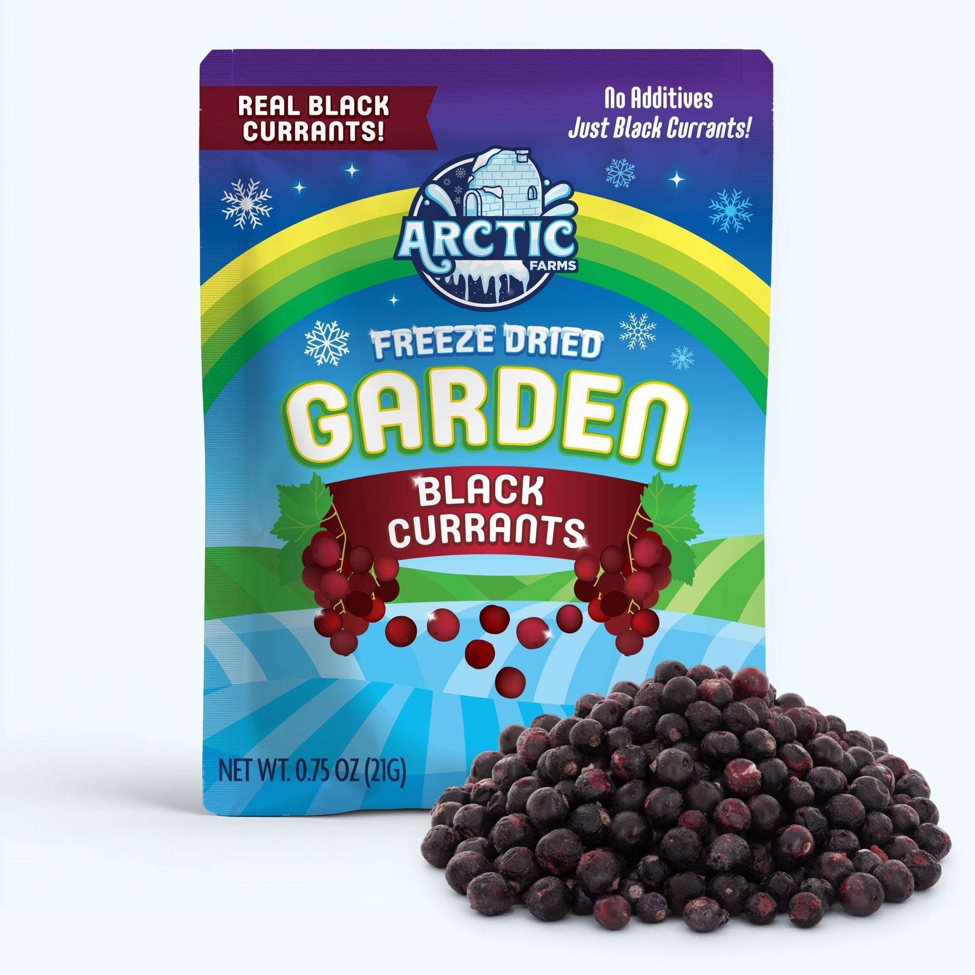 Freeze Dried Organic Black Currant - Vegan America