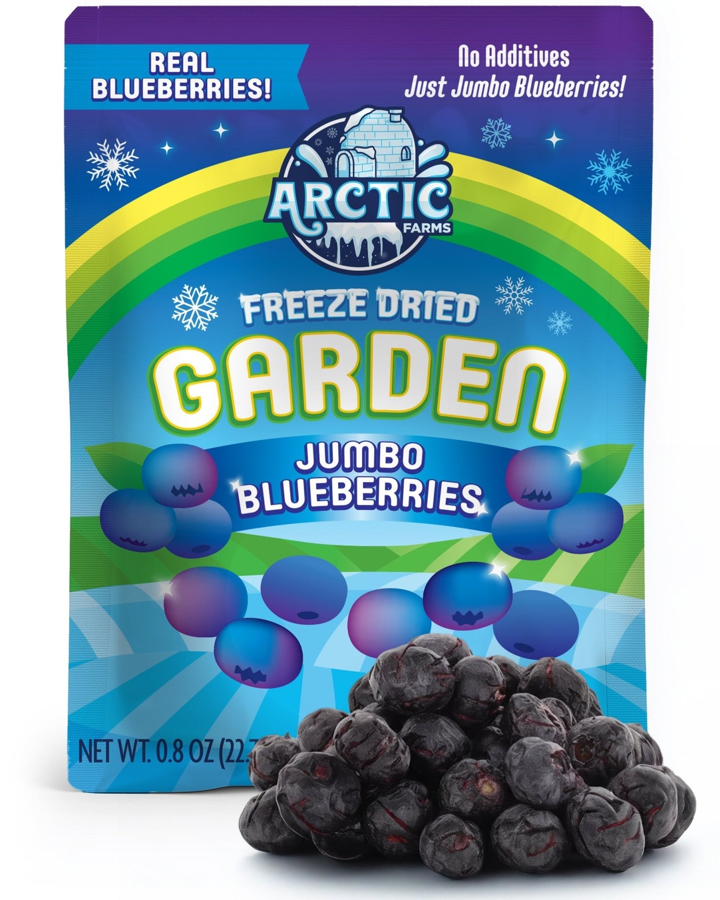 Freeze Dried JUMBO Blueberries - Vegan America