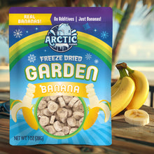 Freeze Dried Banana Chips