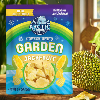 Freeze Dried Organic Ripe Jackfruit