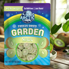 Freeze Dried Green Kiwi