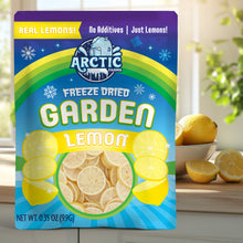 Freeze Dried Lemon Slices