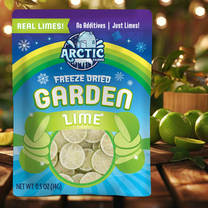 Freeze Dried Lime Slices