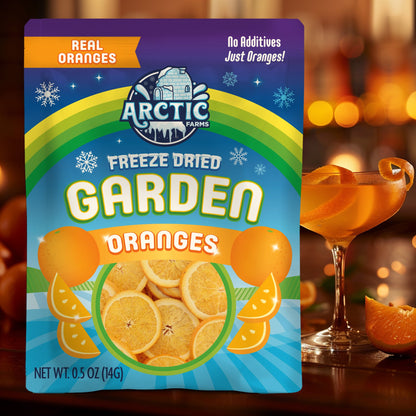 Freeze Dried Orange Slices