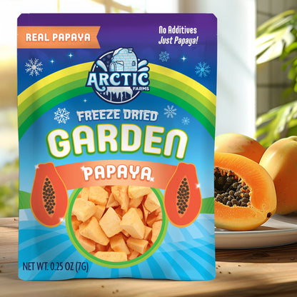 Freeze Dried Papaya