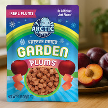 Freeze Dried Plum