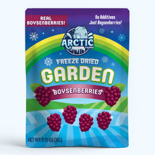 Freeze Dried Boysenberry