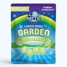 Freeze Dried Kiwi Berry (Baby Kiwi)