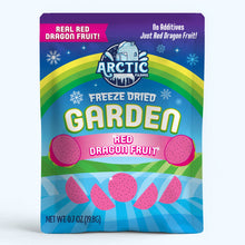 Freeze Dried Red Dragon Fruit Slices