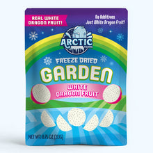 Freeze Dried White Dragon Fruit Slices