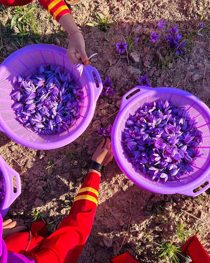 Heray Saffron Superior Negin Quality