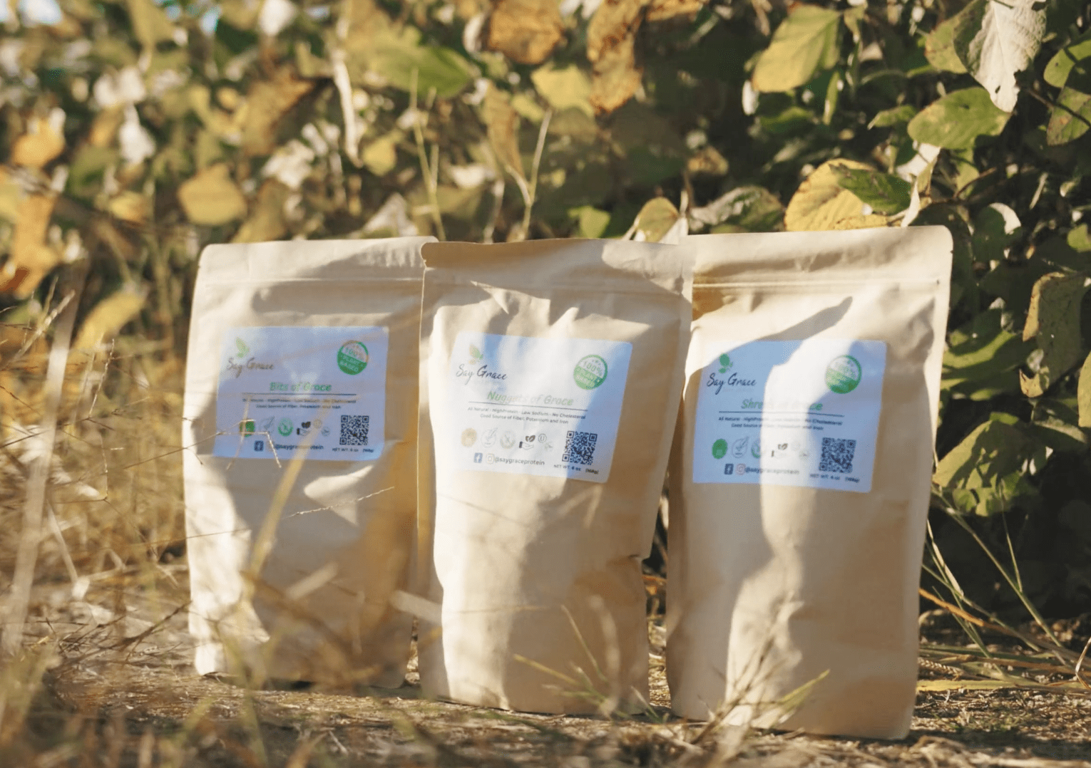 3 - bag Sample Bundle - Vegan America