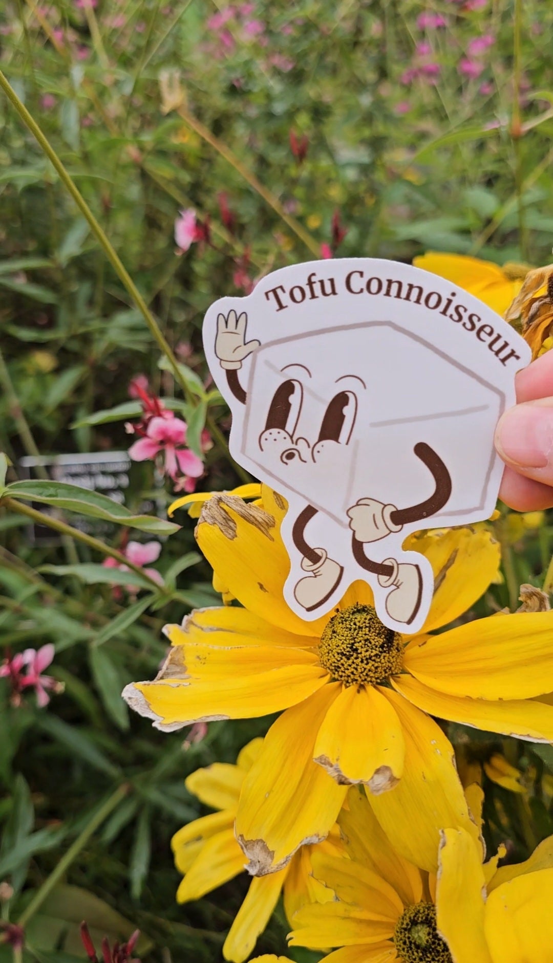 The Tofu Connoisseur