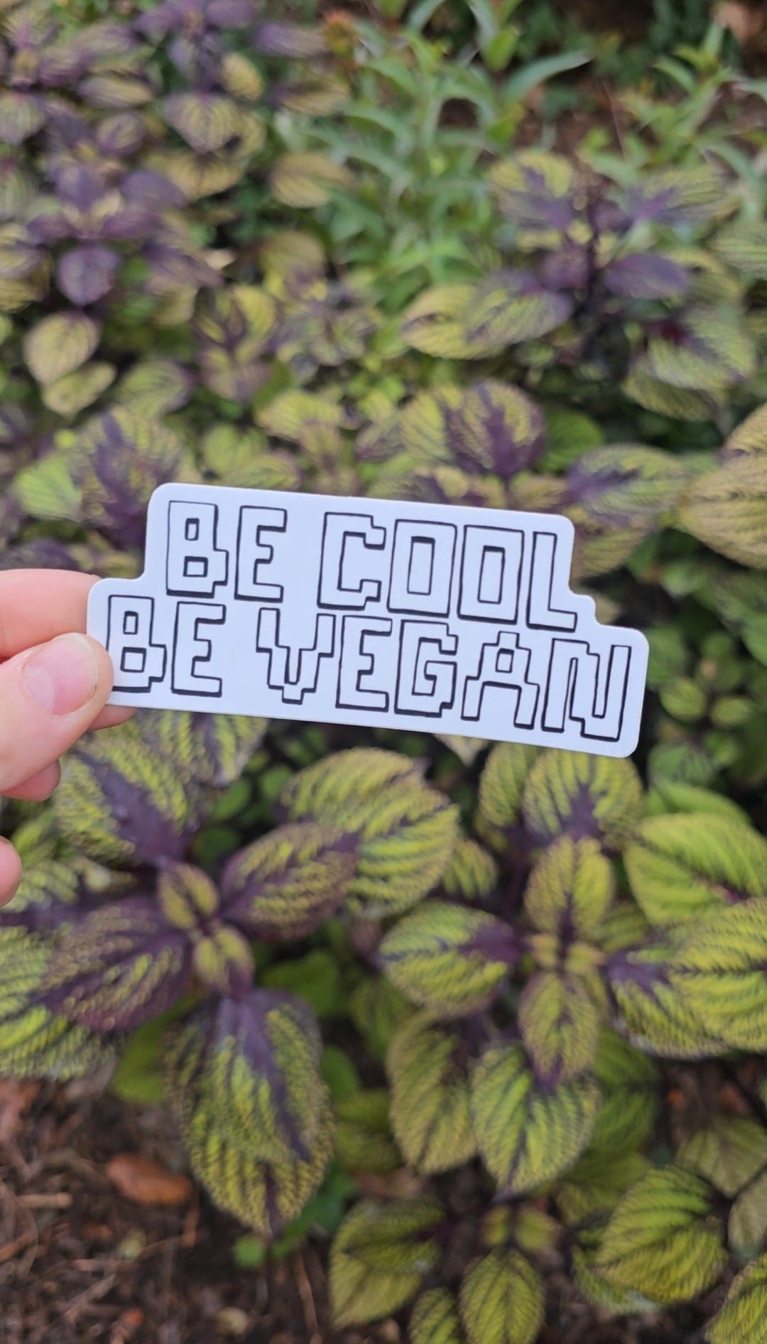 Be Cool Be Vegan