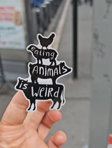 Eating Animals Is Weird