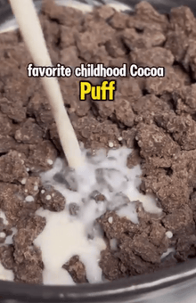 Pro - Bites - Chocolate - Vegan America