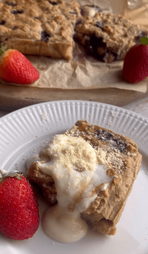 Bits of Grace - Vegan America