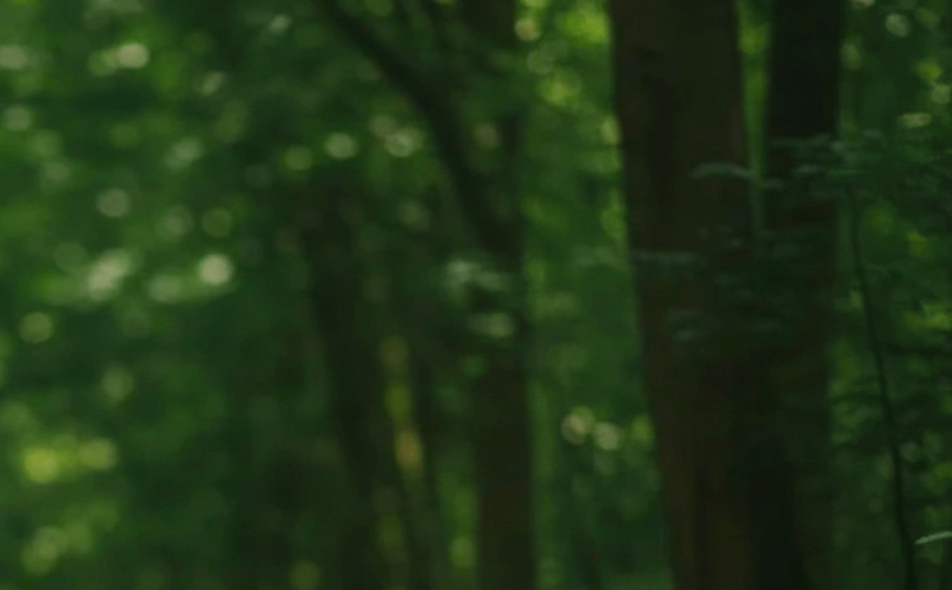 Load video: Ignite theme