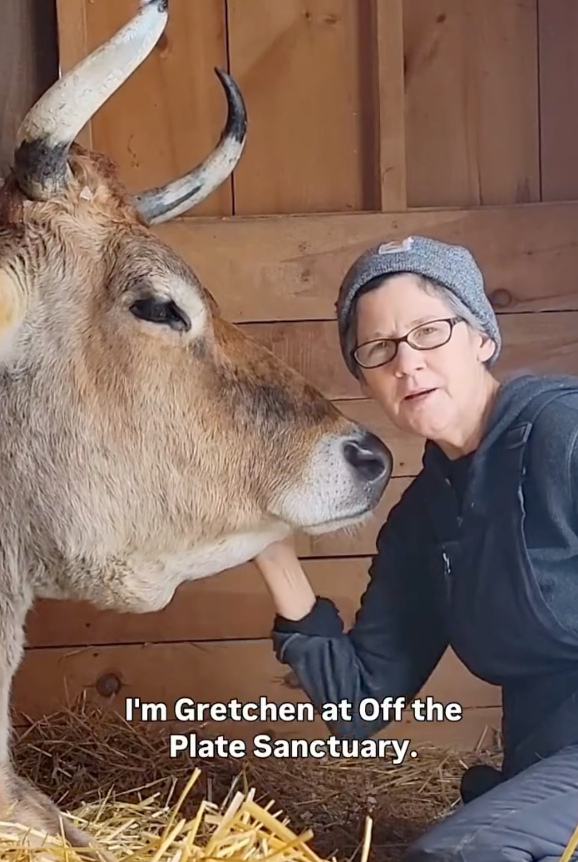 Member at an animal sanctuary